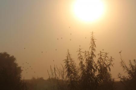 ЧЕ-2015. Итоги первого и подробности второго спортивного полёта