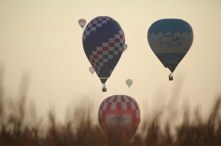 ЧЕ-2015. Второй спортивный через объектив Николая Рябцева