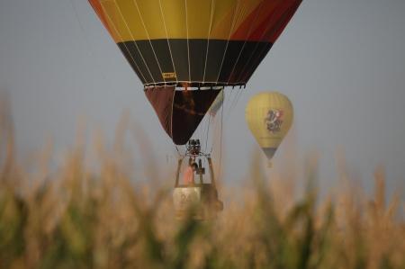 ЧЕ-2015. Второй спортивный через объектив Николая Рябцева