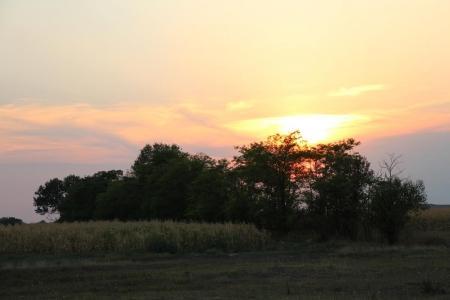 ЧЕ-2015. Фоторепортаж Сергея Домени с третьего спортивного