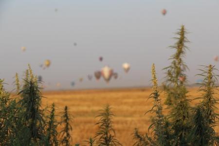 ЧЕ-2015. Фоторепортаж с 4-го спортивного полёта