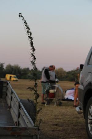 ЧЕ-2015. Утро 14-го...