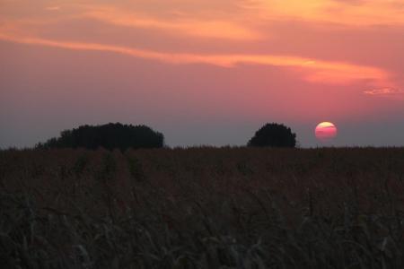 ЧЕ-2015. Фоторепортаж с 5-го спортивного полёта +видео