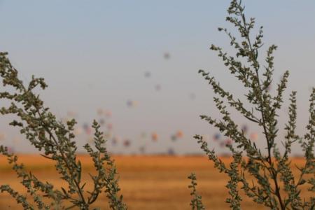 ЧЕ-2015. Фото и видео 6-го спортивного полёта +видео