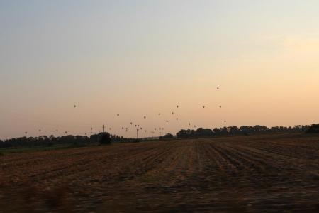 ЧЕ-2015. Фото и видео 6-го спортивного полёта +видео