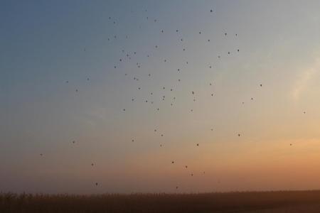 ЧЕ-2015. И еще один вечерний полёт одного задания +видео