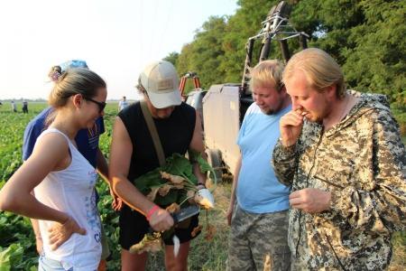 ЧЕ-2015. И еще один вечерний полёт одного задания +видео