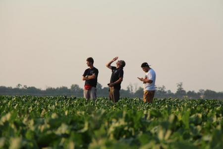 ЧЕ-2015. И еще один вечерний полёт одного задания +видео