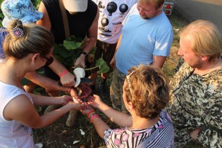 ЧЕ-2015. И еще один вечерний полёт одного задания +видео