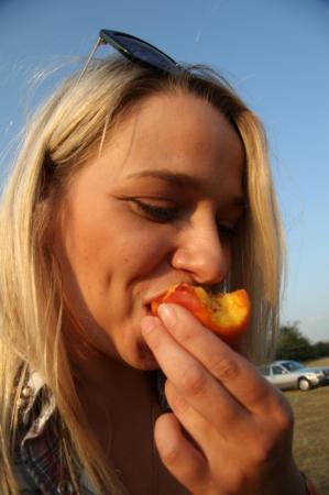 ЧЕ-2015. И еще один вечерний полёт одного задания +видео