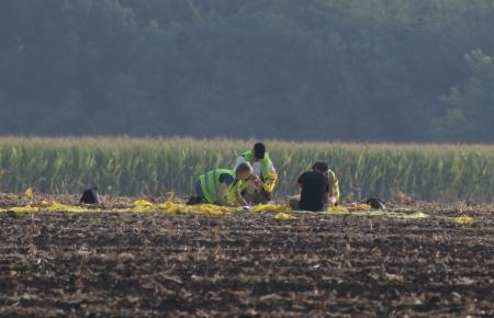 ЧЕ-2015. Фото и видео о 8-м спортивного полёта +видео