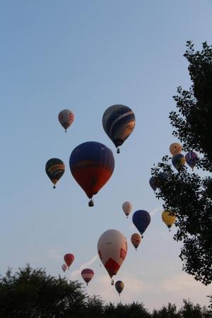 ЧЕ-2015. Фото и видео о 8-м спортивного полёта +видео