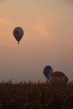 ЧЕ-2015. Фото и видео о 8-м спортивного полёта +видео
