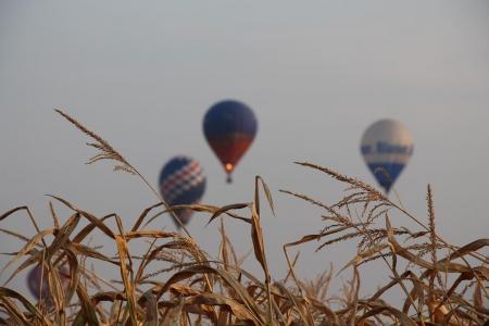 ЧЕ-2015. Фото и видео о 8-м спортивного полёта +видео