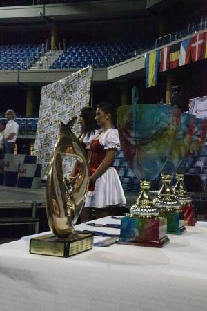 ЧЕ-2015. Финал!