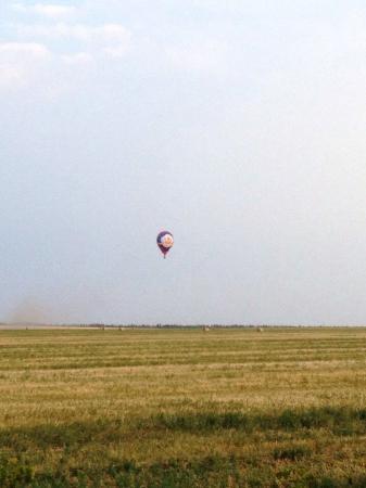 1-й ЧеВО. Активно идет подготовка!