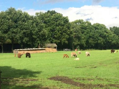 3-й ЧЕ среди женщин. Вечер. Опять отмена...