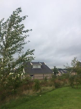 3-й ЧЕ среди женщин. Вечер. Отмена...