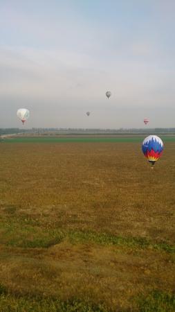 Курортно-полевой роман