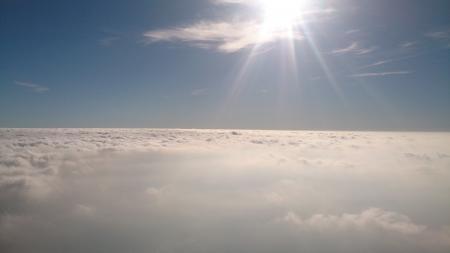 Курортно-полевой роман