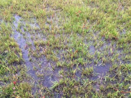 3-й ЧЕ среди женщин. Вечер. Угроза полета cнова миновала