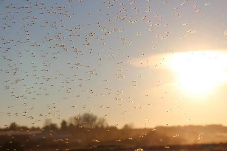 КТО - 2015. В Тульской области стартовали завершающие сезон соревнования (+видео)