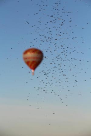 КТО - 2015. В Тульской области стартовали завершающие сезон соревнования (+видео)