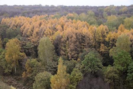 КТО - 2015. Крайний спортивный полёт (фоторепортаж + видео)