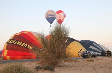 WAG - 2015. Фоторепортаж Николая Рябцева. Открытие