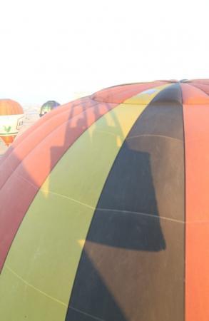 WAG - 2015. Фоторепортаж Николая Рябцева. Открытие