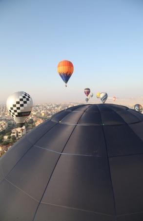 WAG - 2015. Фоторепортаж Николая Рябцева. Открытие