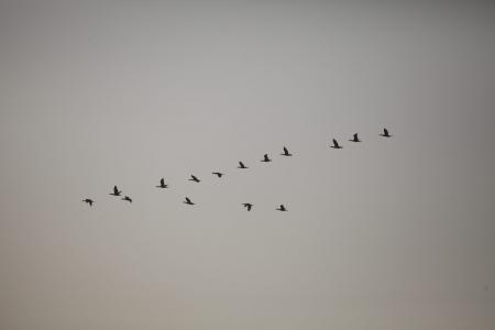 WAG - 2015. День 4-й. Дирижабли. Репортаж Николая Рябцева (+видео)