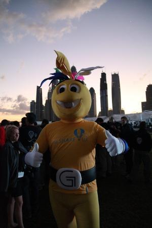 WAG - 2015. Утро надежды