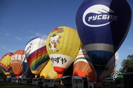 WAG - 2015. Утро надежды