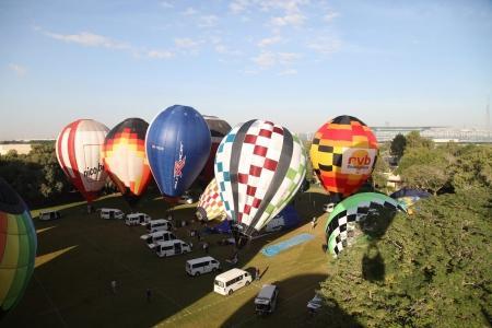WAG - 2015. Утро надежды