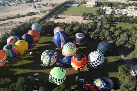 WAG - 2015. Утро надежды