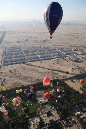 WAG - 2015. Утро надежды