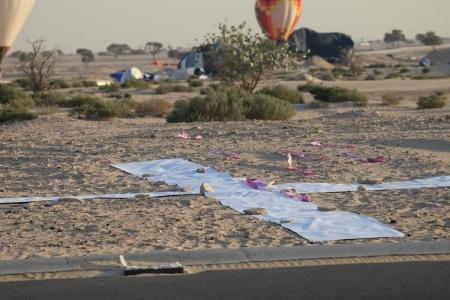 WAG - 2015. Вечер сомнений