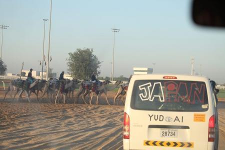 WAG - 2015. Третий спортивный полёт