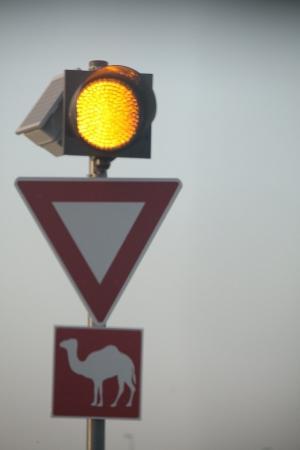 WAG - 2015. Финальный спортивный