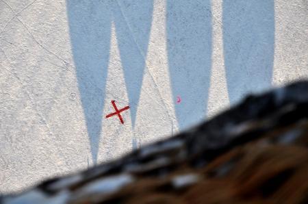 Яблоки на снегу 2016. Дмитров. Фоторепортаж Сергея Гусева