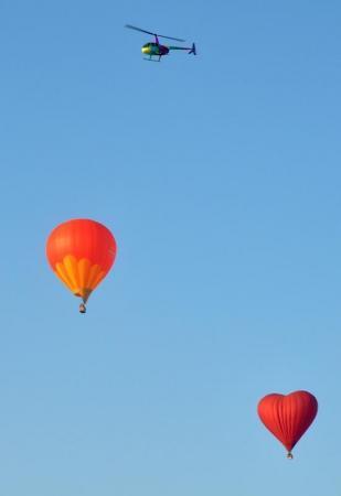 Яблоки на снегу 2016. Дмитров. Фоторепортаж Сергея Гусева