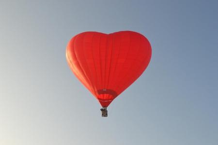 Яблоки на снегу 2016. Великие Луки. В лучах яркого солнца над Ловатью (фоторепортаж)