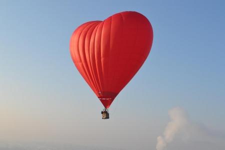 Яблоки на снегу 2016. Великие Луки. В лучах яркого солнца над Ловатью (фоторепортаж)