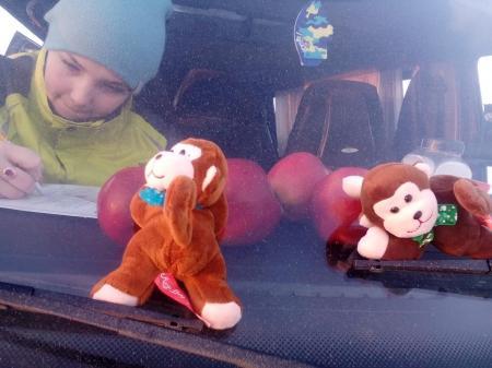 Яблоки на снегу 2016. Переславль-Залесский. Фоторепортаж Ксении Романовой