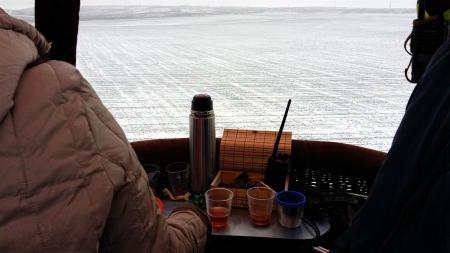 Яблоки на снегу 2016. Крым.