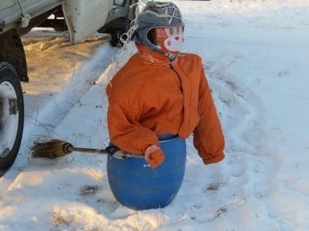 Яблоки на снегу 2016. Великие Луки. В лучах яркого солнца над Ловатью (фоторепортаж)