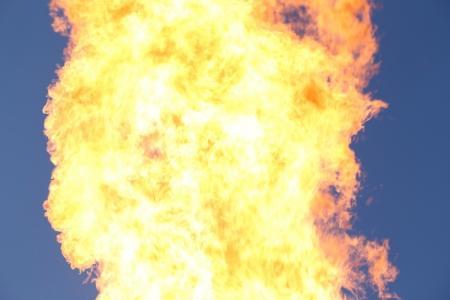 Яблоки на снегу 2016. Дмитров. Репортаж Игоря Шелапутина