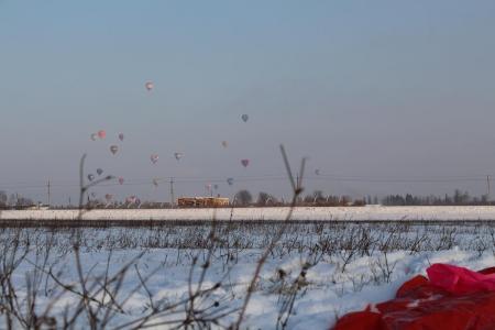 Яблоки на снегу 2016. Дмитров. Фоторассказ измерителя
