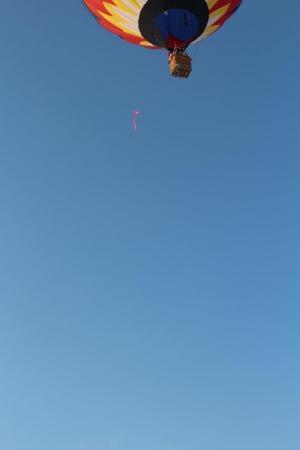 Яблоки на снегу 2016. Дмитров. Фоторассказ измерителя